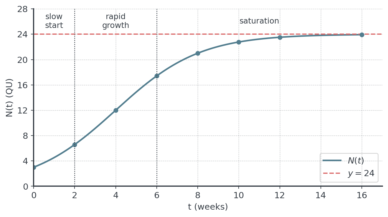 S-shaped curve of N(t) through the points of the table: it starts at 3, passes 12 at t = 4 and flattens out just below the dashed line y = 24 without reaching it. Dotted vertical lines at t = 2 and t = 6 separate the three labelled phases: slow start, rapid growth and saturation.